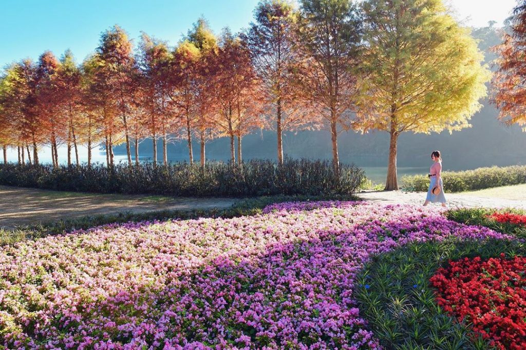 【日月潭】台湾最大の淡水湖!日月潭のおすすめスポット8選 【日月潭】台湾最大の淡水湖!日月潭のおすすめスポット8選