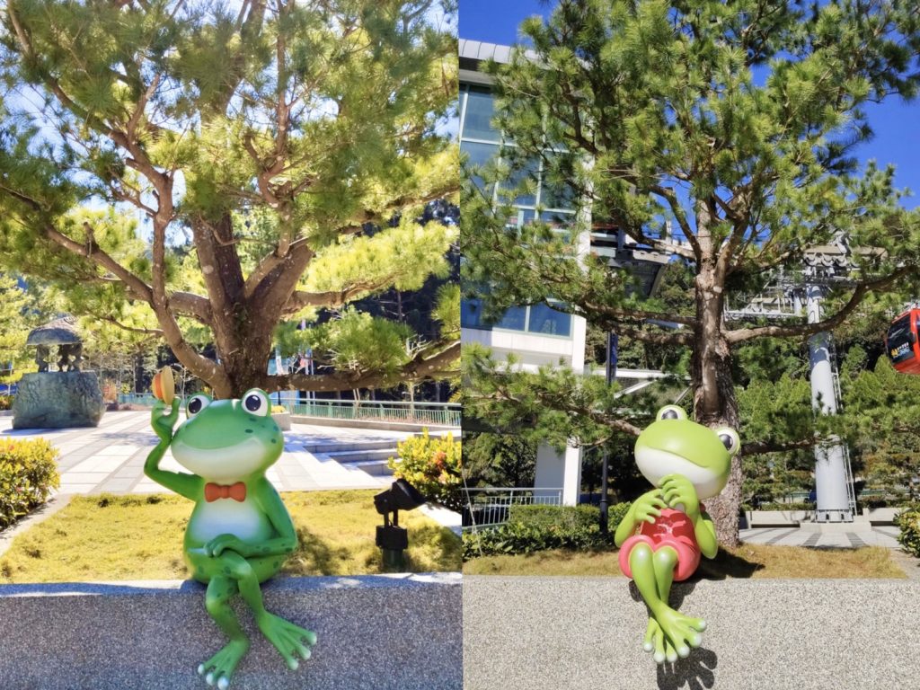 【日月潭ロープウェイ】日月潭の景色を空から堪能しよう！ロープウェイに乗って片道10分の空中散歩へ！