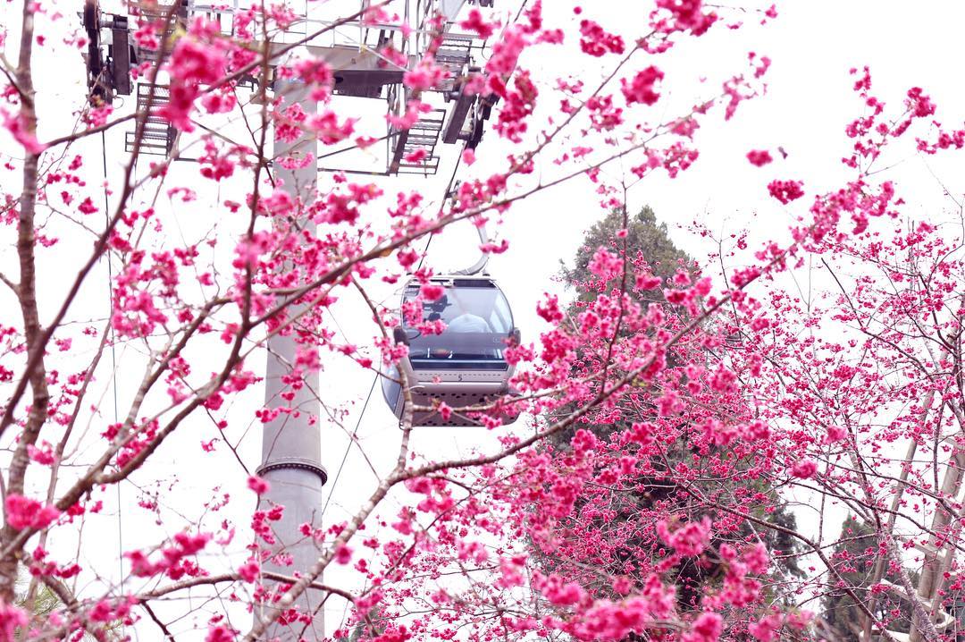 【日月潭ロープウェイ】日月潭の景色を空から堪能しよう!ロープウェイに乗って片道10分の空中散歩へ! 【日月潭ロープウェイ】日月潭の景色を空から堪能しよう!ロープウェイに乗って片道10分の空中散歩へ!