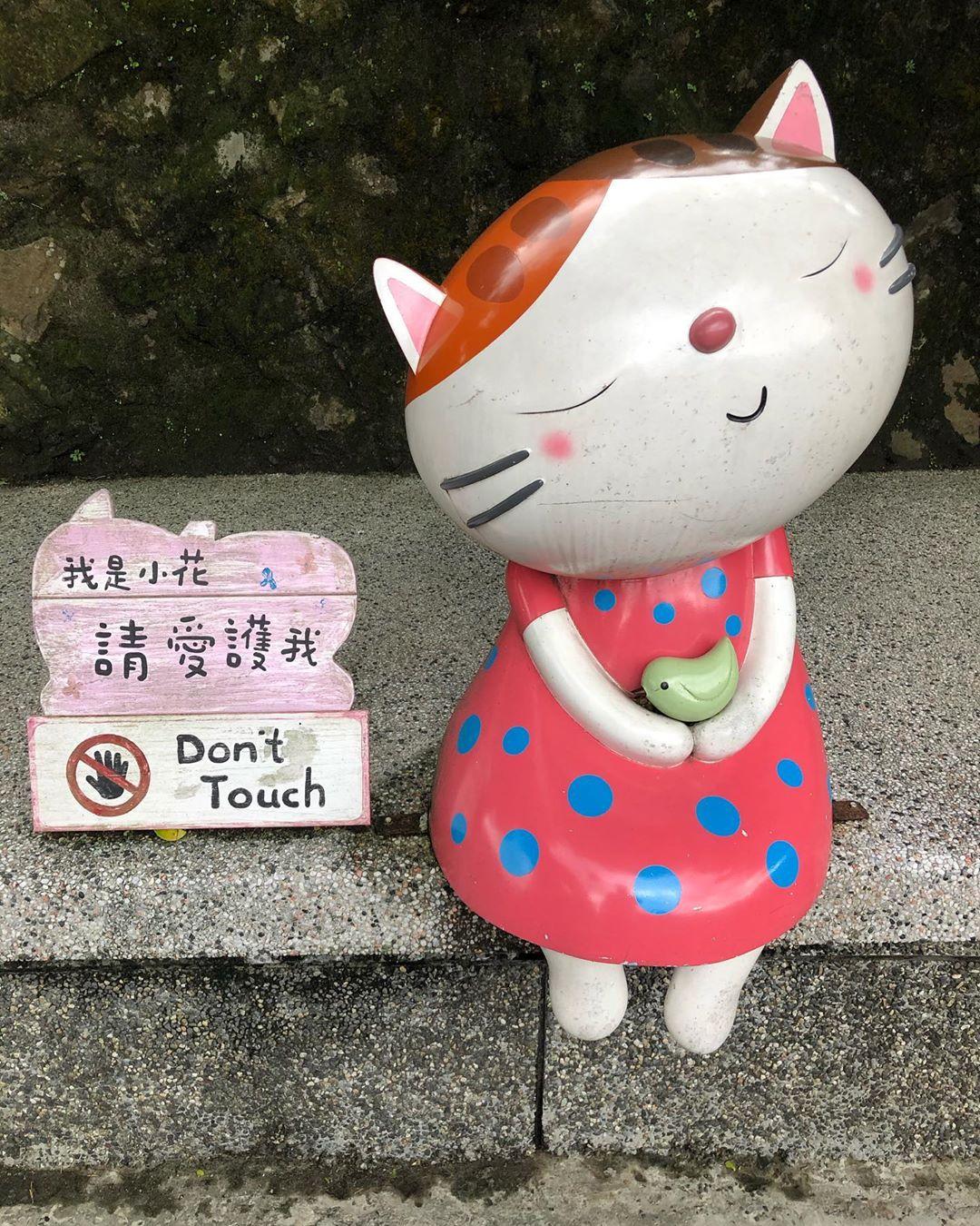 【猴硐猫村】100匹以上の猫が暮らす村！猴硐でかわいい猫に癒されよう！