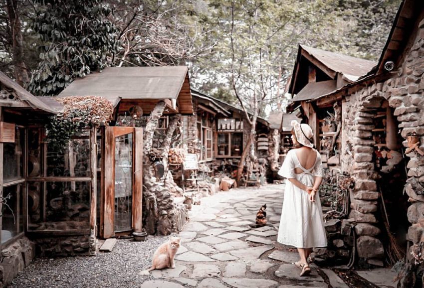 【阿里山グルメ】阿里山にある絶景レストラン4選!きれいな景色とおいしい料理に癒される! 【阿里山グルメ】阿里山にある絶景レストラン4選!きれいな景色とおいしい料理に癒される!