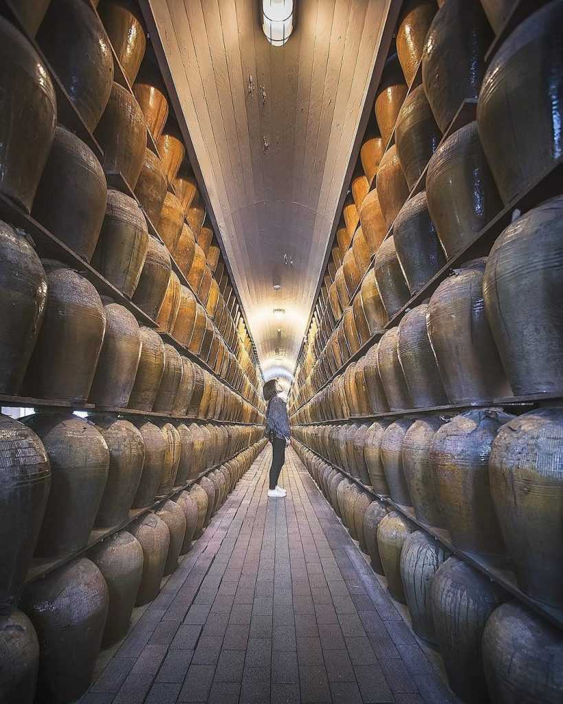 【南投観光】人気スポットランキング！自然豊かな南投県の魅力を紹介