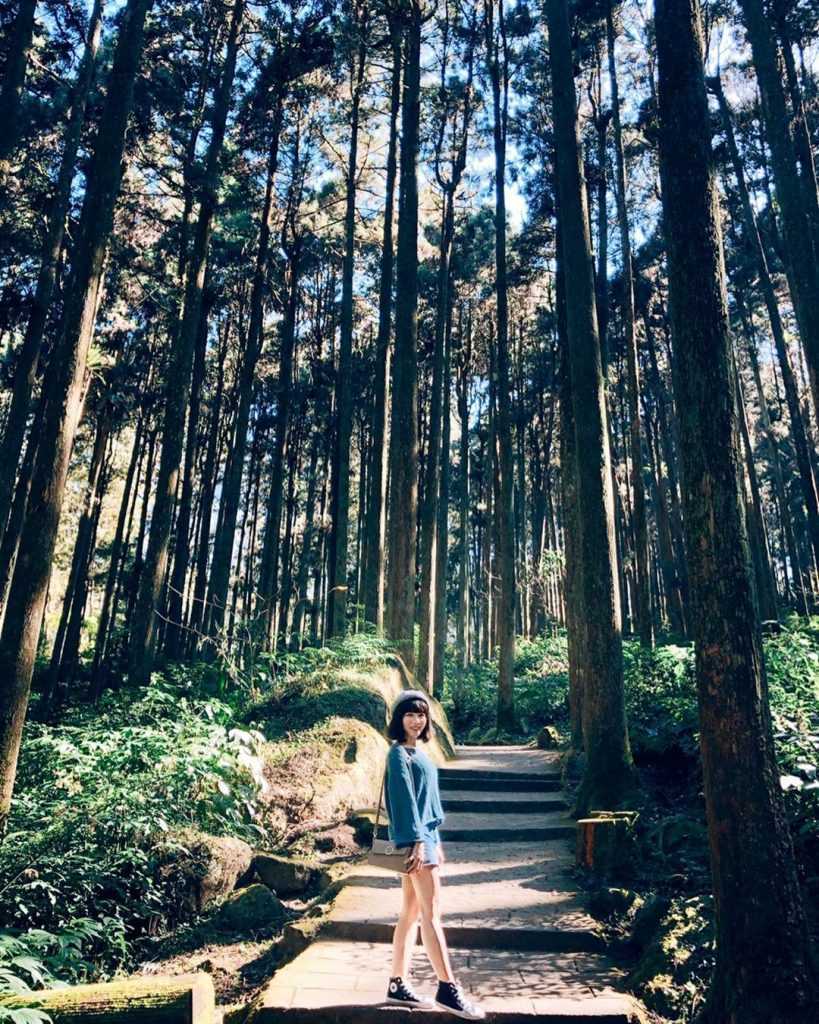 【南投観光】人気スポットランキング！自然豊かな南投県の魅力を紹介