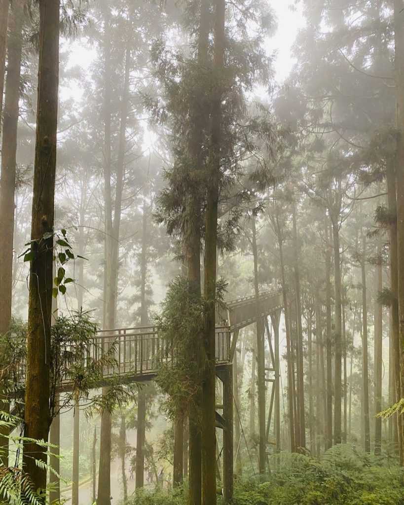 【南投観光】人気スポットランキング！自然豊かな南投県の魅力を紹介