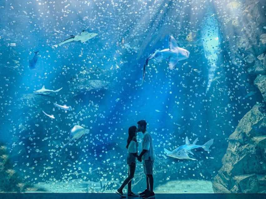 【Xpark】台湾初の都市型水族館！台北から最短20分で行けるXparkの見どころやアクセスを徹底解説！