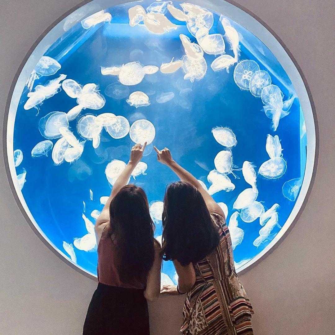 【桃園観光】台湾の空の玄関口!空港だけじゃない桃園の魅力がつまったスポット7選 【桃園観光】台湾の空の玄関口!空港だけじゃない桃園の魅力がつまったスポット7選