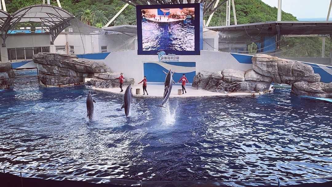 【台湾水族館】台湾にある水族館8か所を大紹介！台湾の水族館に行こう！