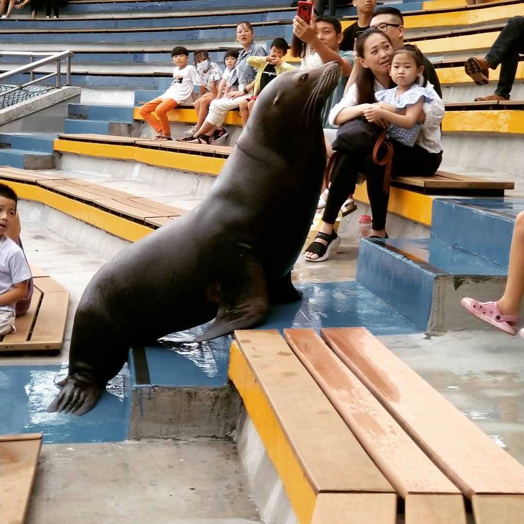 【台湾水族館】台湾にある水族館8か所を大紹介！台湾の水族館に行こう！