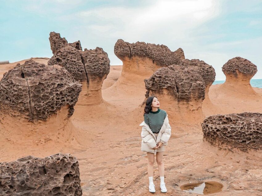 【Taipei FunPASS完全ガイド】料金・使い方を徹底解説!台北旅行を便利でお得に周る方法を解説 【Taipei FunPASS完全ガイド】料金・使い方を徹底解説!台北旅行を便利でお得に周る方法を解説