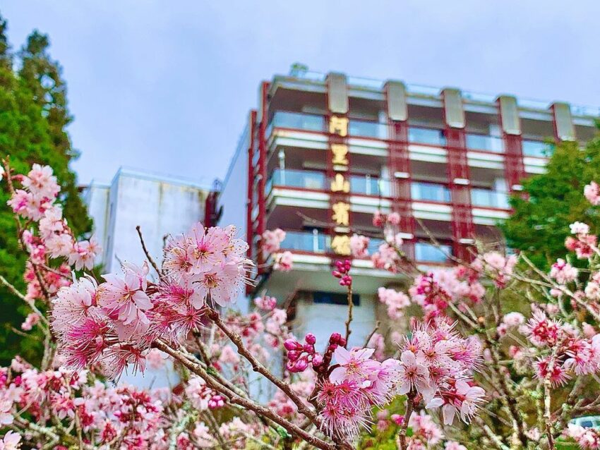 【阿里山ホテル】阿里山観光のおすすめホテル4選!一生に一度は見たい、阿里山の日の出を見に行こう! 【阿里山ホテル】阿里山観光のおすすめホテル4選!一生に一度は見たい、阿里山の日の出を見に行こう!