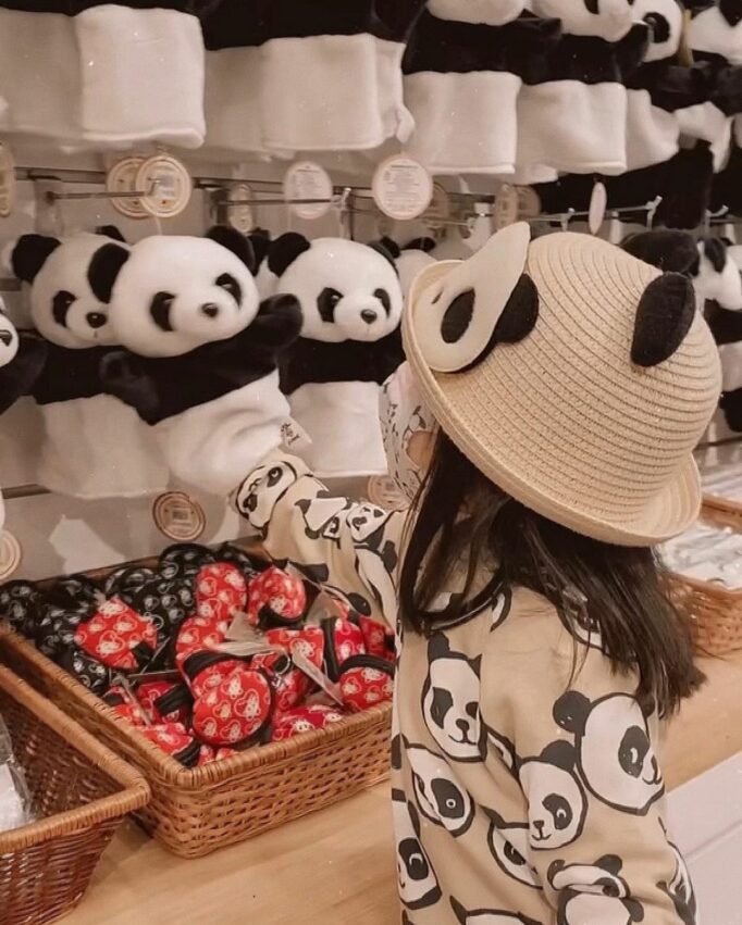 【台北市立動物園】台湾で3頭のパンダに会える！台北市立動物園の見どころやアクセスを徹底解説！