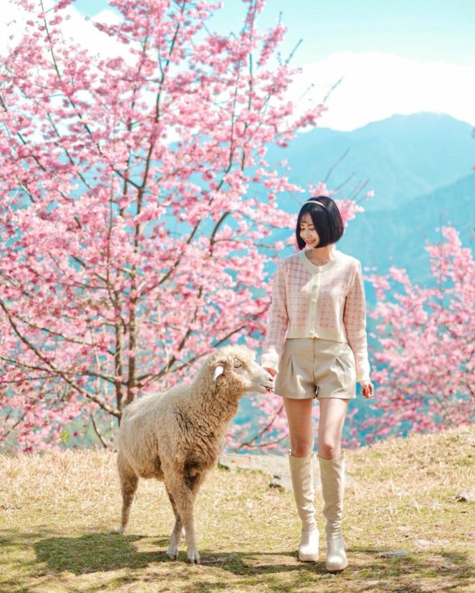 【南投観光】人気スポットランキング！自然豊かな南投県の魅力を紹介