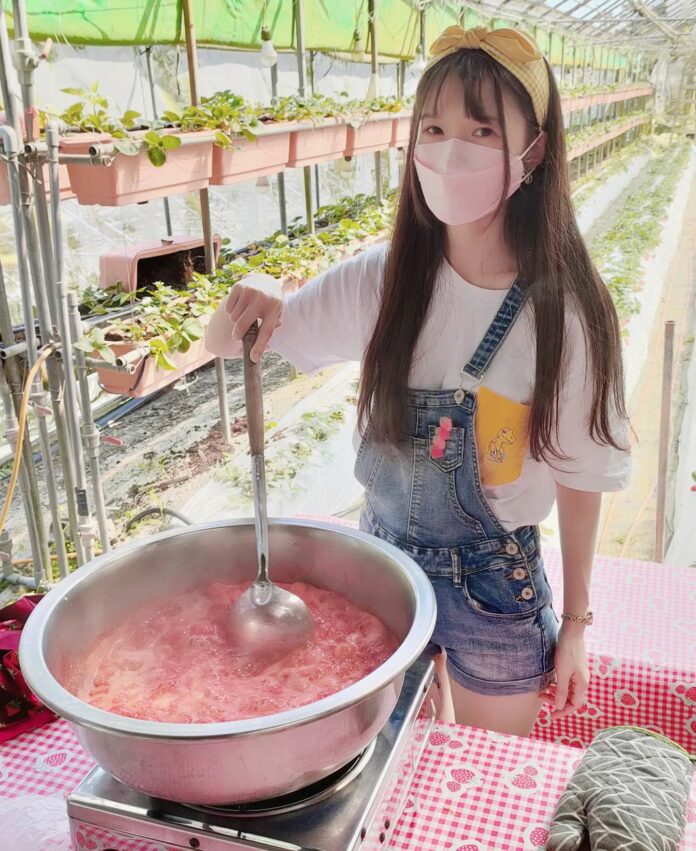 2025【台湾いちご狩り】台湾のいちごの産地、苗栗縣の大湖でいちご狩り!台北近郊のスポットも紹介 2025【台湾いちご狩り】台湾のいちごの産地、苗栗縣の大湖でいちご狩り!台北近郊のスポットも紹介