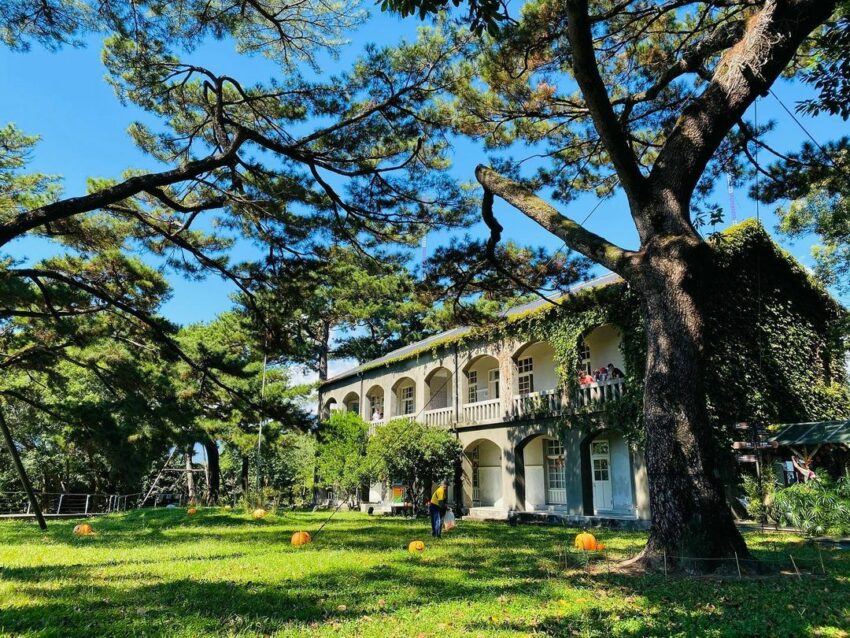 2026年【花蓮観光】おすすめ観光スポット特集！地震からの復興が進む花蓮へ出かけよう！