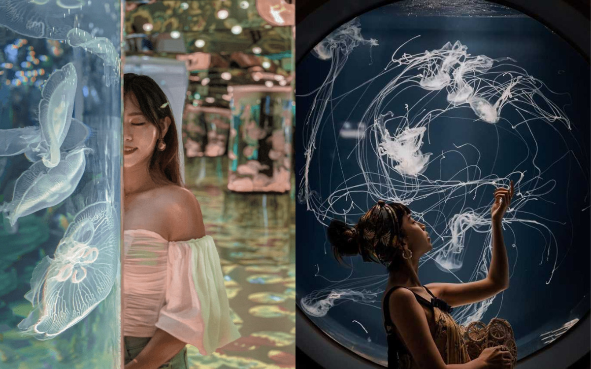 【台湾水族館】台湾にある水族館8か所を大紹介！台湾の水族館に行こう！