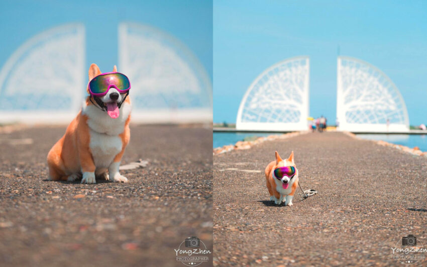 【台南観光】台湾の古都、台南のおすすめ観光地15選！台湾の古き良き街並みを見に出かけよう！