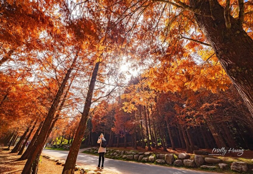 【南投観光】人気スポットランキング！自然豊かな南投県の魅力を紹介