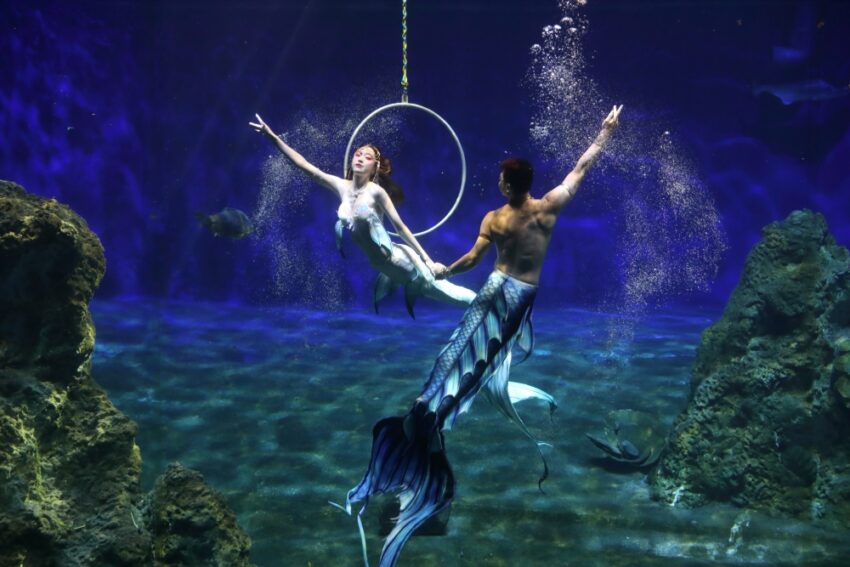 2026年【花蓮観光】おすすめ観光スポット特集！地震からの復興が進む花蓮へ出かけよう！