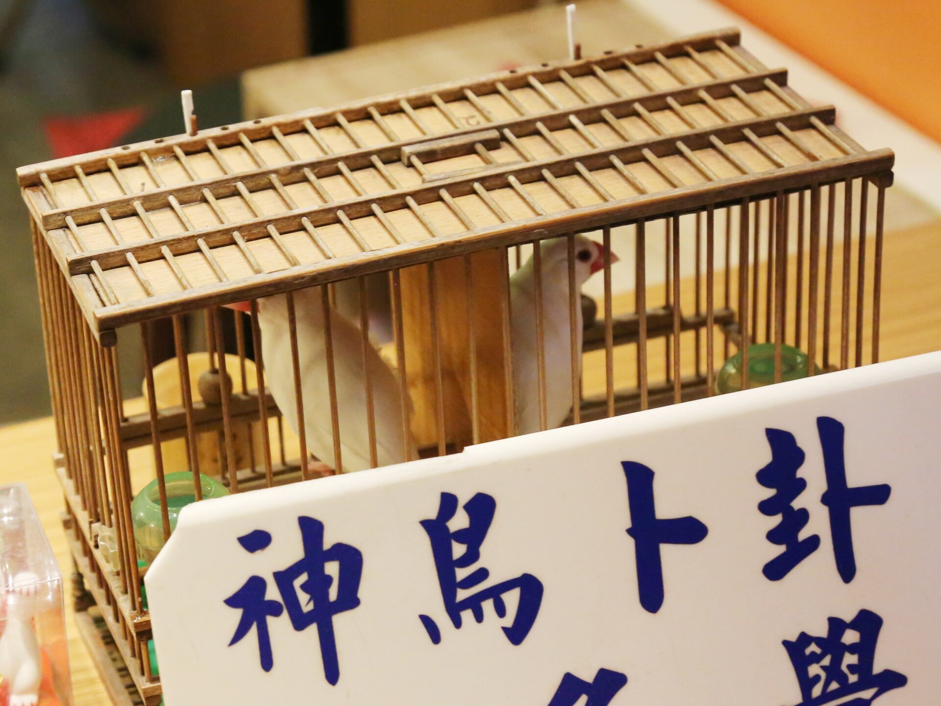 【台北の観光スポット】初めての台湾旅行はここで決まり！一度は行きたい台北の観光スポットを紹介