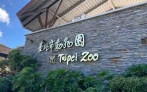 【台北市立動物園】4頭のパンダに会える！台北市立動物園の人気者たちに会いに行こう！