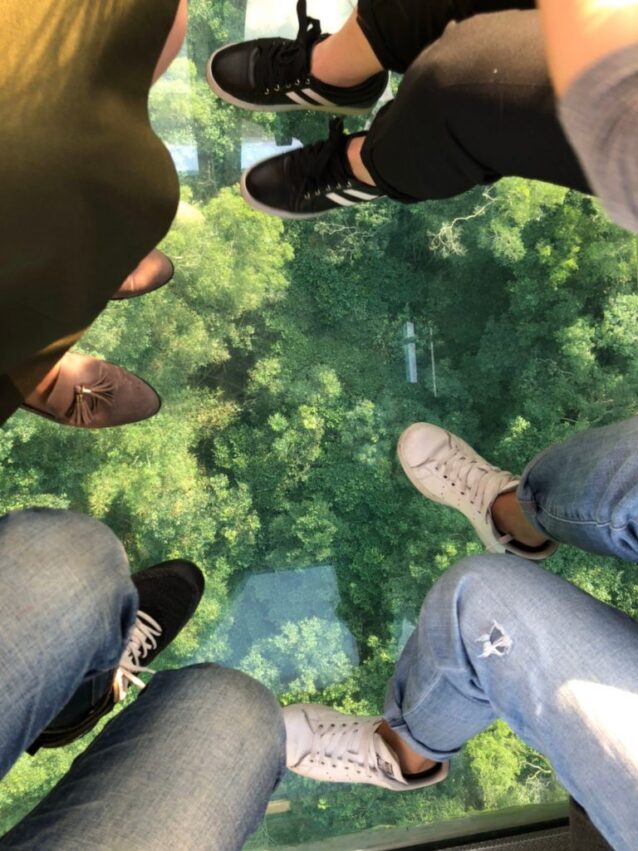 【猫空ロープウェイ】乗り方や料金など徹底解説！ロープウェイに乗ってお茶の産地猫空へ1DAYトリップ！