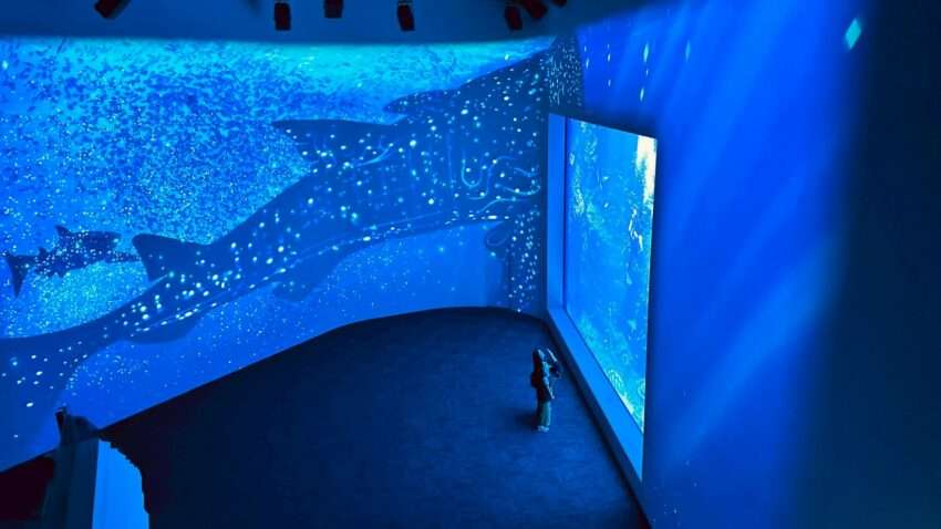 【台中海洋館】見どころやアクセスを徹底解説！2025年、新オープンの台中海洋館へ出かけよう！