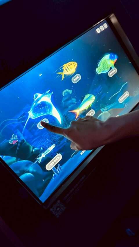 【台中海洋館】見どころやアクセスを徹底解説！2025年、新オープンの台中海洋館へ出かけよう！