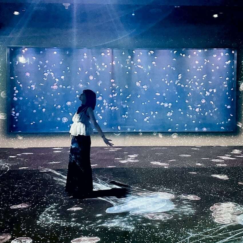【台中海洋館】見どころやアクセスを徹底解説！2025年、新オープンの台中海洋館へ出かけよう！