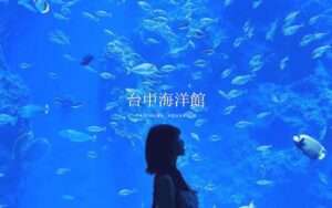 【台中海洋館】見どころやアクセス、チケット代を徹底解説！2025年、新オープンの台中海洋館へ出かけよう！