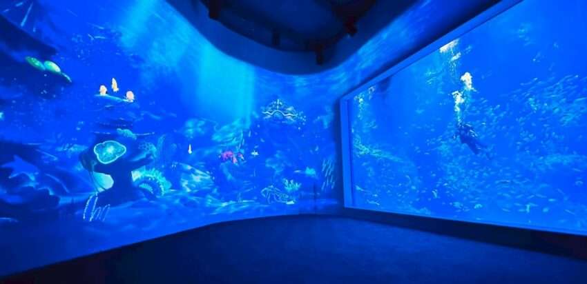 【台中海洋館】見どころやアクセスを徹底解説！2025年、新オープンの台中海洋館へ出かけよう！