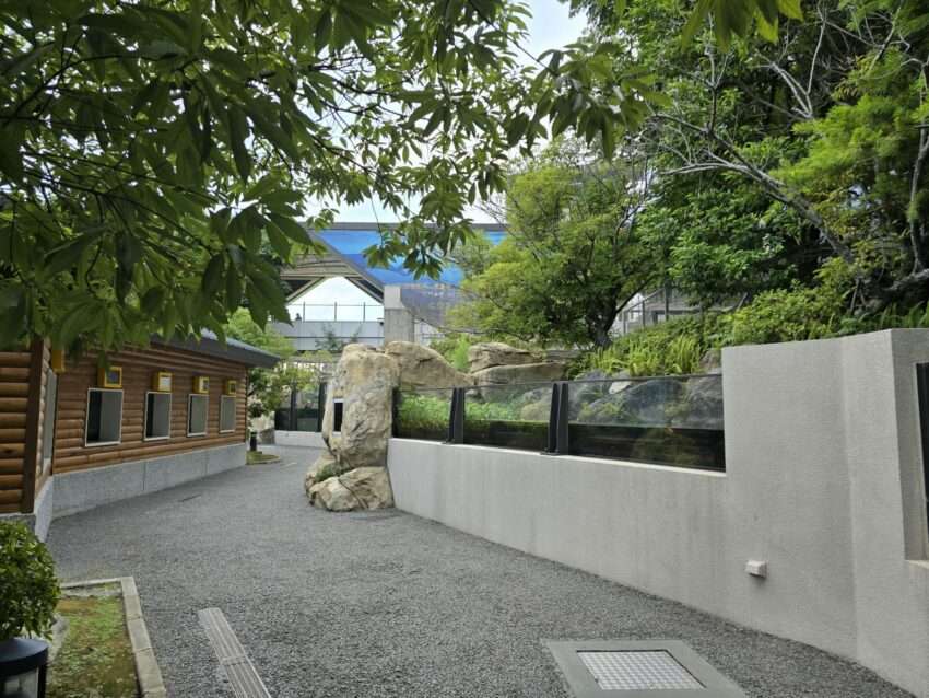 【Xpark水族館】全新活動搶先看！桃園水族館必逛展區/如何購票/美食餐廳/夜宿懶人包