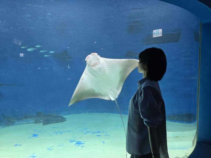 【Xpark】台湾初の都市型水族館！台北から最短20分で行けるXparkの見どころやアクセスを徹底解説！