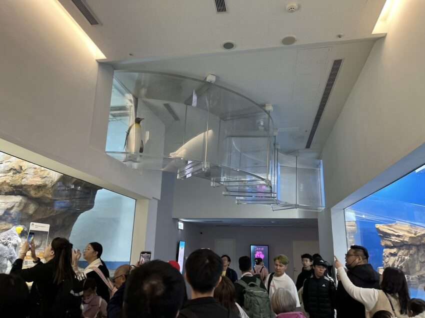 【Xpark水族館最新攻略】探索奇妙海洋世界！必逛展區/如何購票/美食餐廳/交通/夜宿懶人包