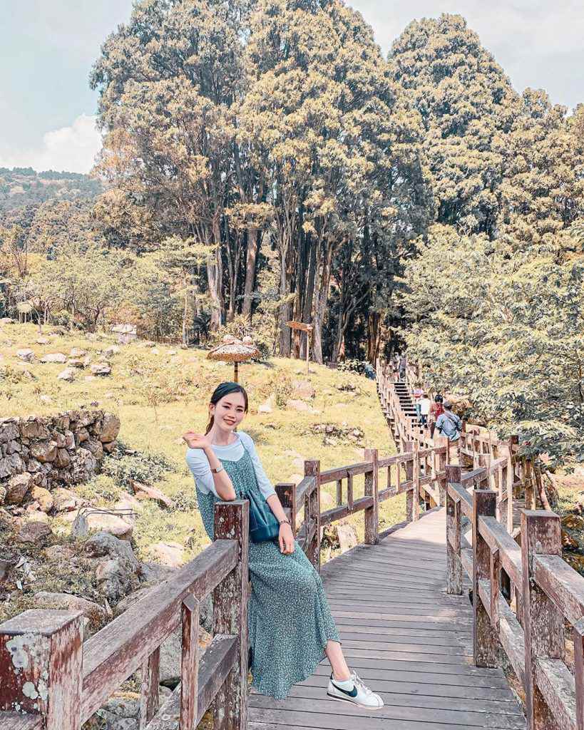 2025【阿里山森林鉄道】嘉義から阿里山を繋ぐ登山列車！阿里山森林鉄道で台湾の大自然を満喫しよう