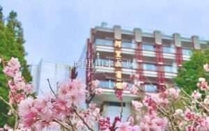 【阿里山ホテル】阿里山観光のおすすめホテル4選!一生に一度は見たい、阿里山の日の出を見に行こう!