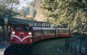 2025【阿里山森林鉄道】嘉義から阿里山を繋ぐ登山列車！阿里山森林鉄道で台湾の大自然を満喫しよう