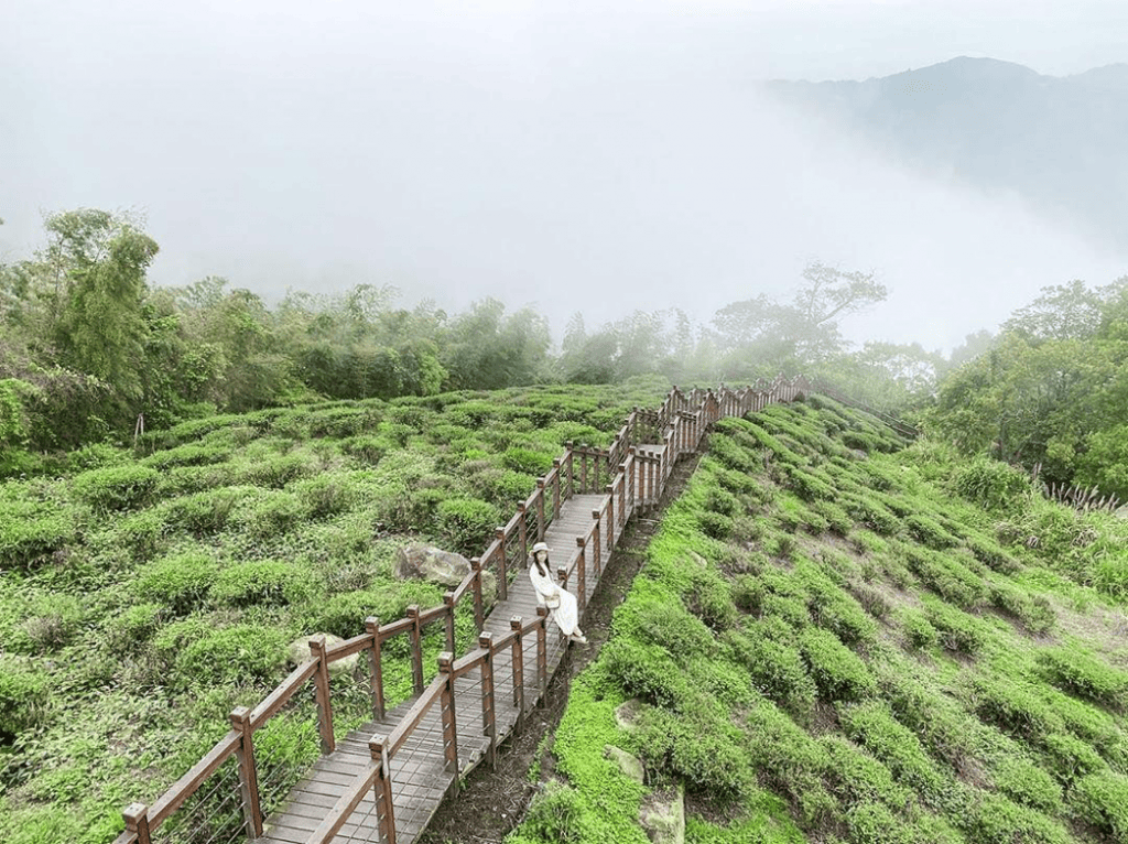 2025【阿里山森林鉄道】嘉義から阿里山を繋ぐ登山列車！阿里山森林鉄道で台湾の大自然を満喫しよう
