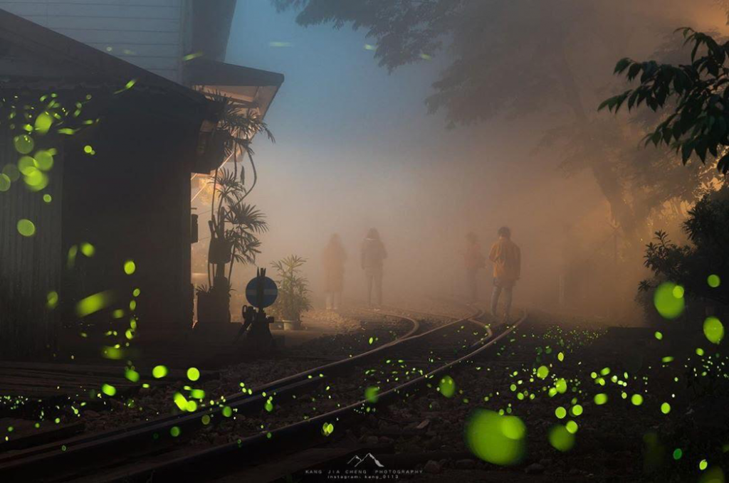 2025【阿里山森林鉄道】嘉義から阿里山を繋ぐ登山列車！阿里山森林鉄道で台湾の大自然を満喫しよう
