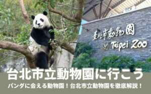 【台北市立動物園】台湾で3頭のパンダに会える！台北市立動物園の見どころやアクセスを徹底解説！