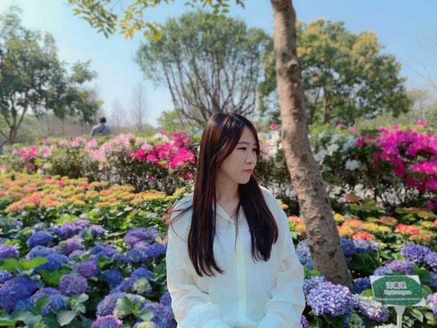 2026年【遊山茶訪】台北でタピオカミルクティー作り体験！予約方法やアクセス、お土産にぴったりの台湾茶まで大紹介！