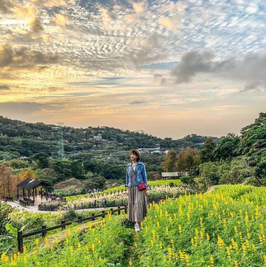 【猫空観光】絶景ロープウェイで行く天空の茶郷！台北・猫空の癒やし観光スポット7選