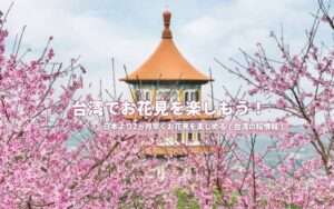 2026年【台湾でお花見】1月から咲く!台湾の桜、絶景スポットを紹介|季節の花が楽しめるイベント・観賞時期も公開中