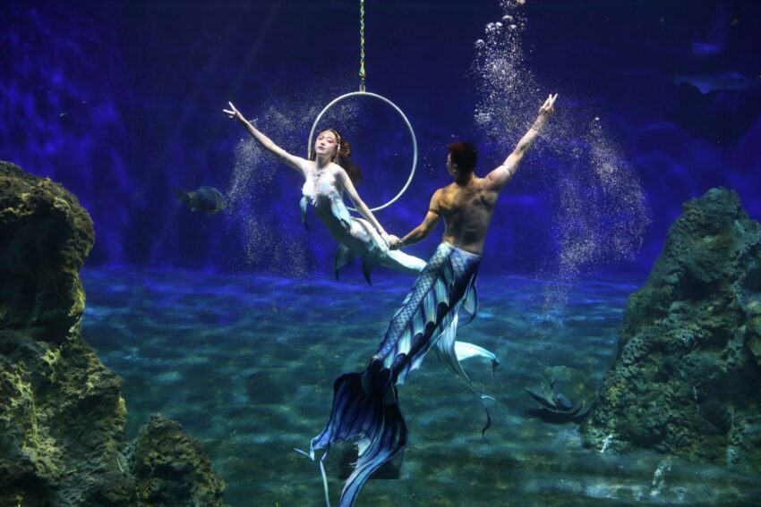 花蓮遠雄海洋公園|人魚ショー 【花蓮観光】遠雄海洋公園の見どころ・アクセス・チケット完全ガイド|水族館&遊園地で1日満喫