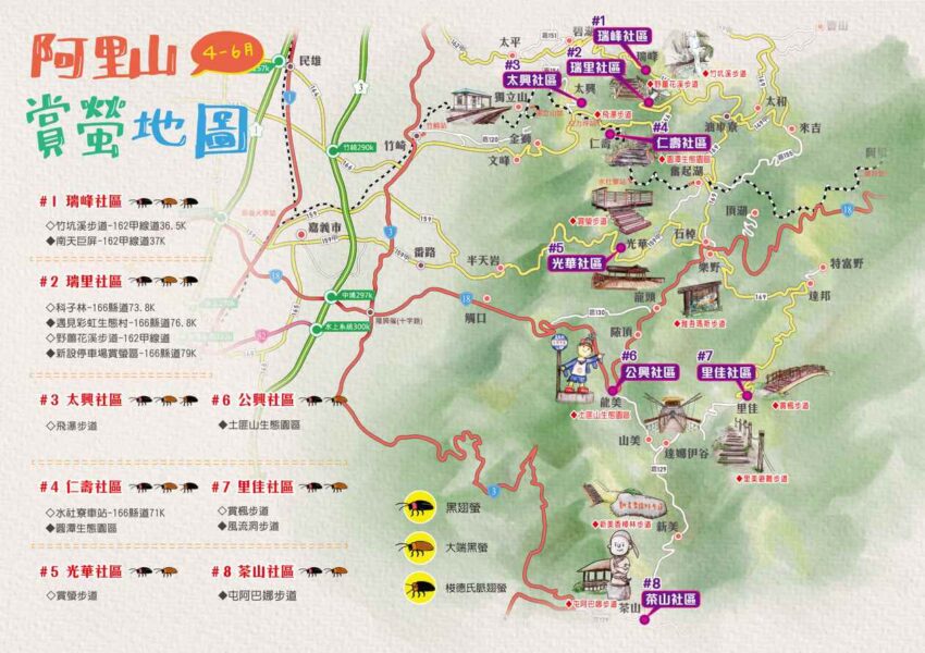 【阿里山ホタル】台湾随一のホタルの生息地！阿里山でホタルが生み出す絶景を見よう！