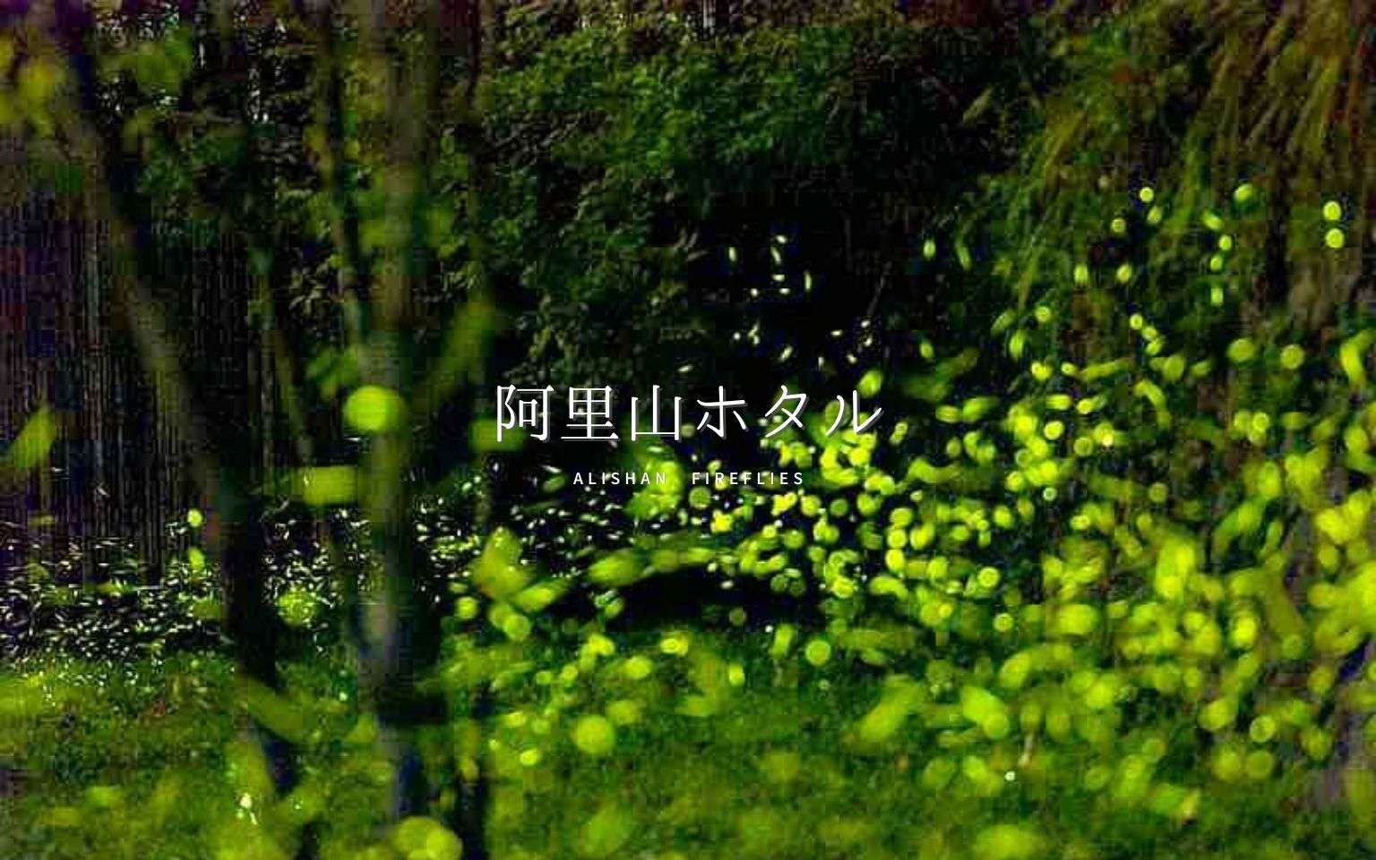 【阿里山ホタル】台湾随一のホタルの生息地！阿里山でホタルが生み出す絶景を見よう！