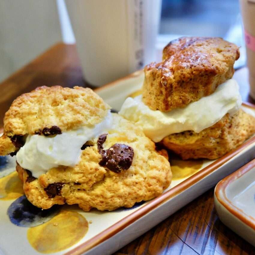 悄悄好食のスコーン。金色に焼けた厚みのある英国式スコーン