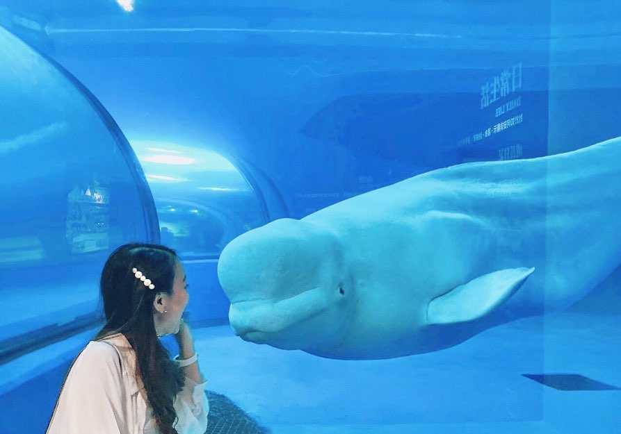 國立海洋生物博物館のペンギンエリア