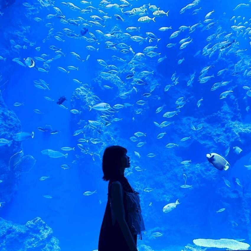 1階 黒潮の海エリアの大型水槽