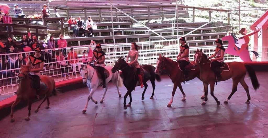 観山牧区の馬術ショー。騎士が草原を駆け抜けながら技を披露している