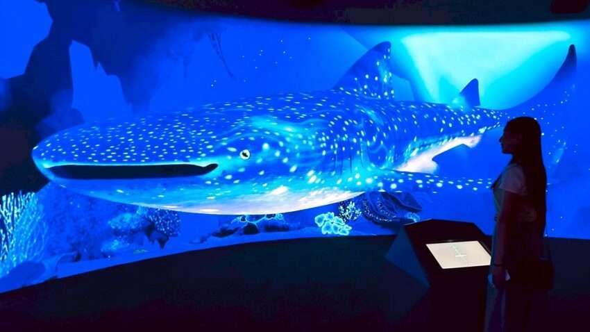 1階 海洋學園の体験型展示エリア